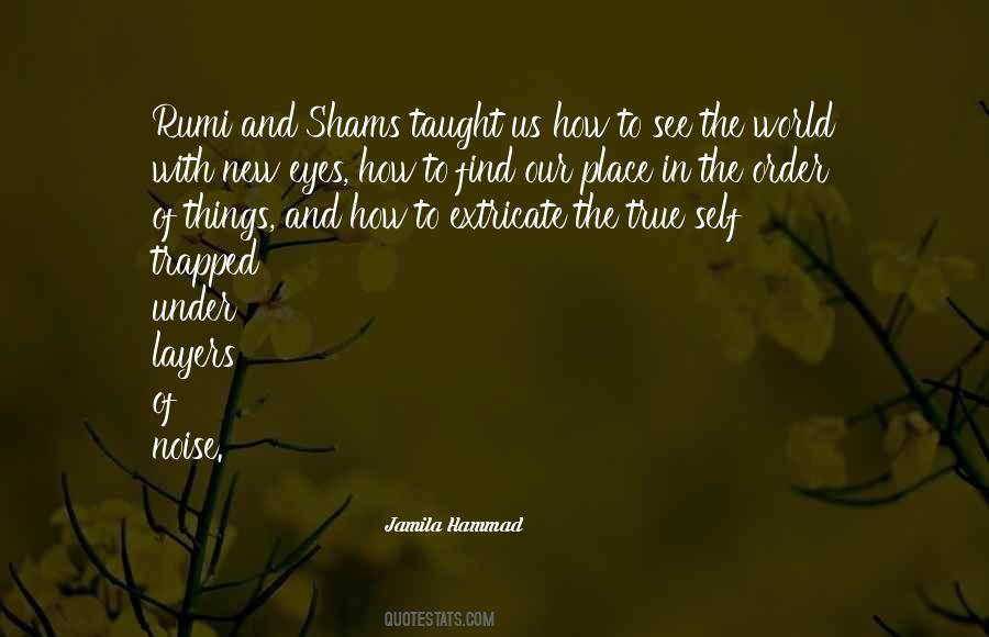 Quotes About Rumi #84273