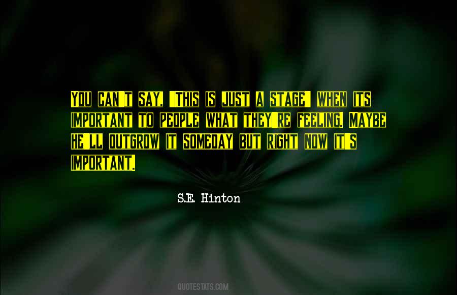 Quotes About S.e. Hinton #1105127