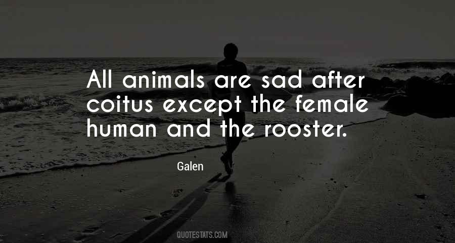 Rooster Quotes #480613
