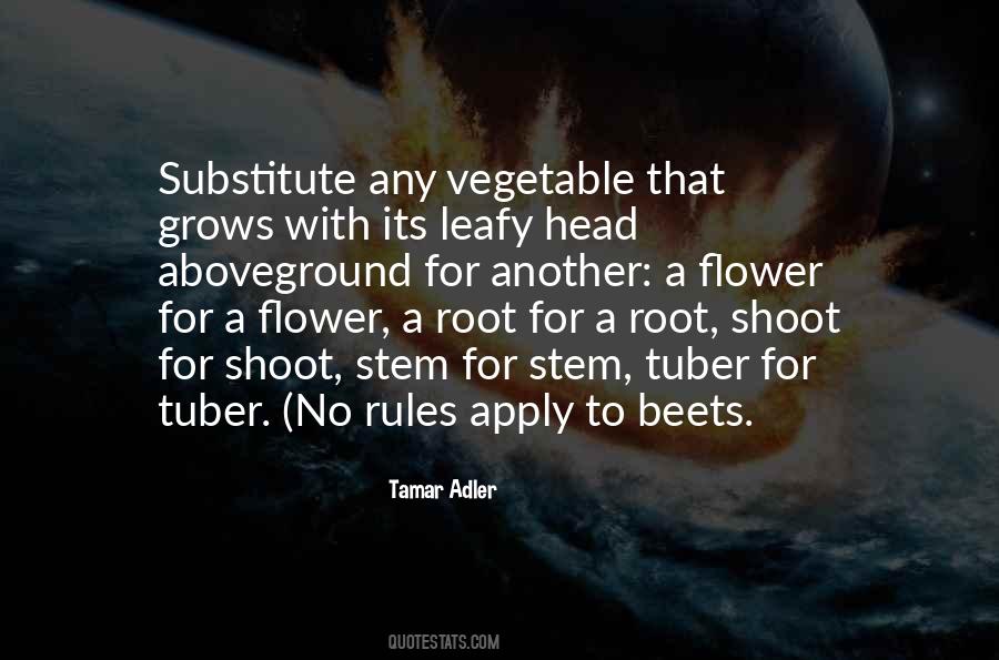 Root Vegetable Quotes #479599