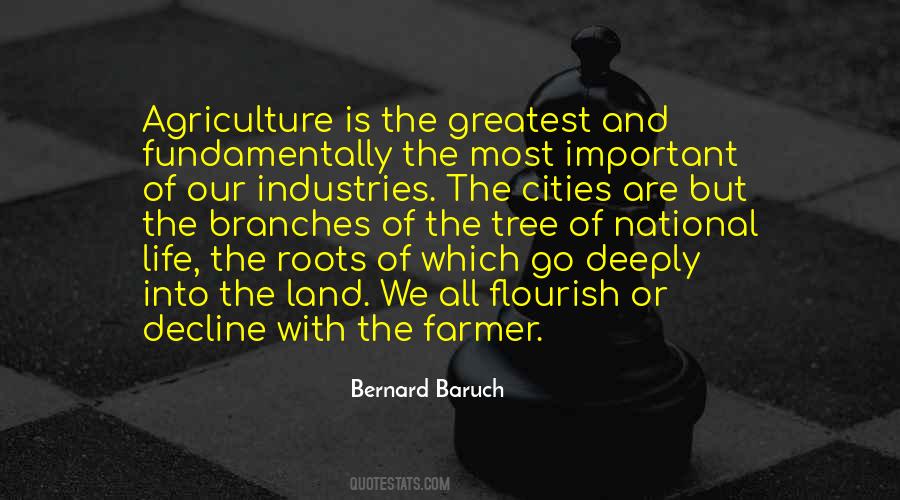 Roots Branches Quotes #150176