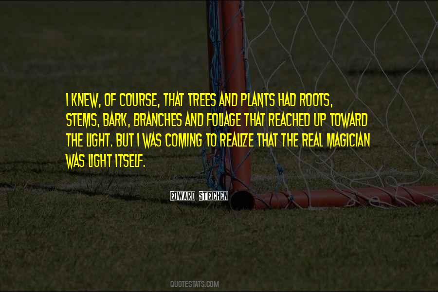 Roots Branches Quotes #1764474