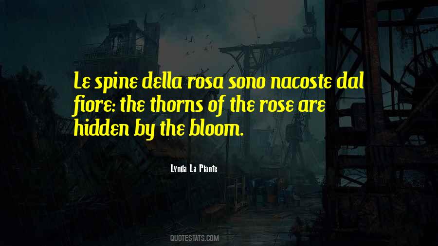 Rosa Quotes #1752508