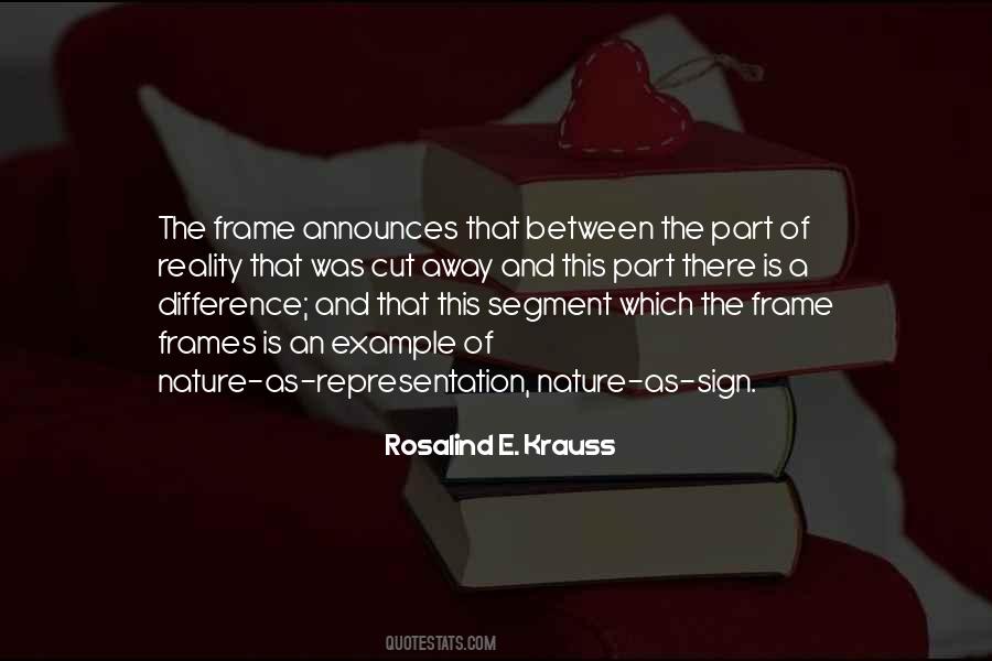 Rosalind Krauss Quotes #1301400