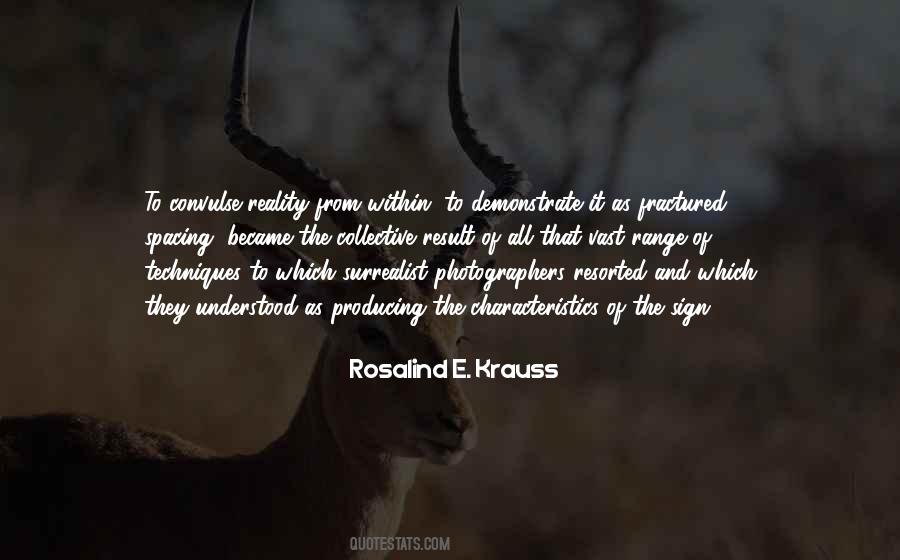 Rosalind Krauss Quotes #1477204