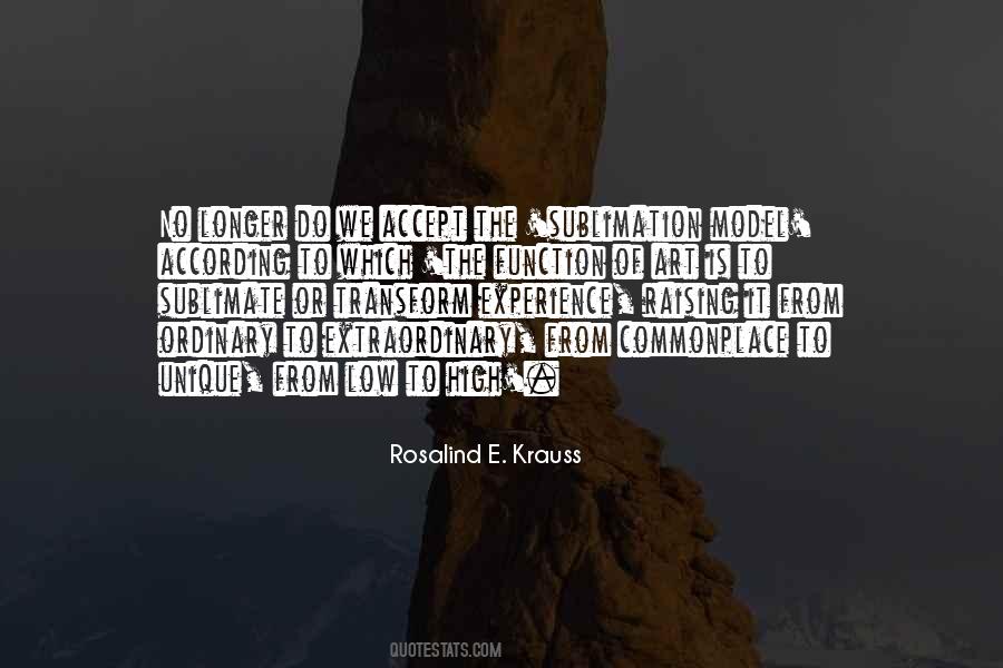 Rosalind Krauss Quotes #1706802