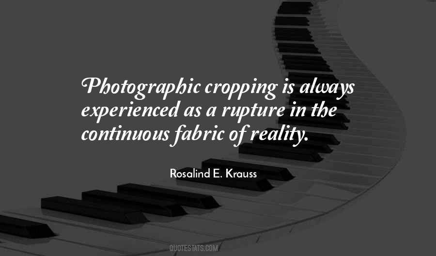 Rosalind Krauss Quotes #537492