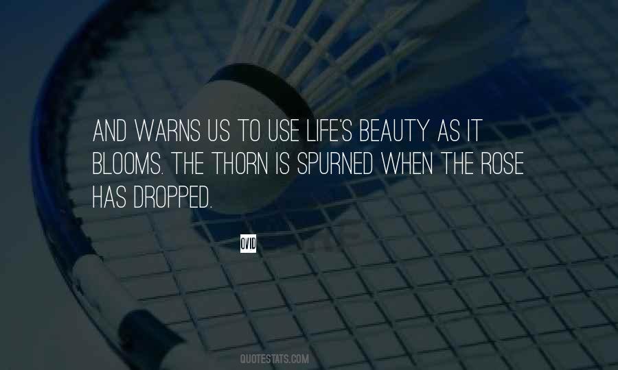 Rose And Thorn Quotes #1018274