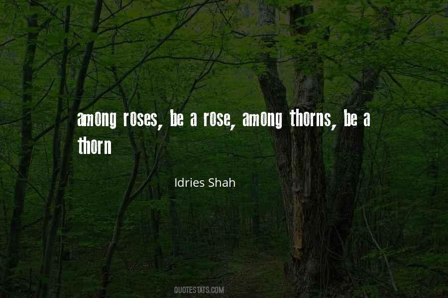Rose And Thorn Quotes #1047860