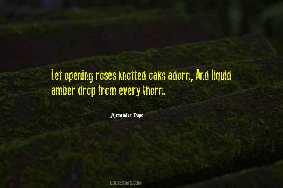 Rose And Thorn Quotes #1878639