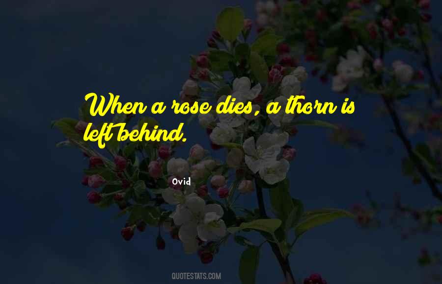 Rose And Thorn Quotes #223991