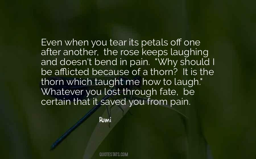 Rose And Thorn Quotes #346452