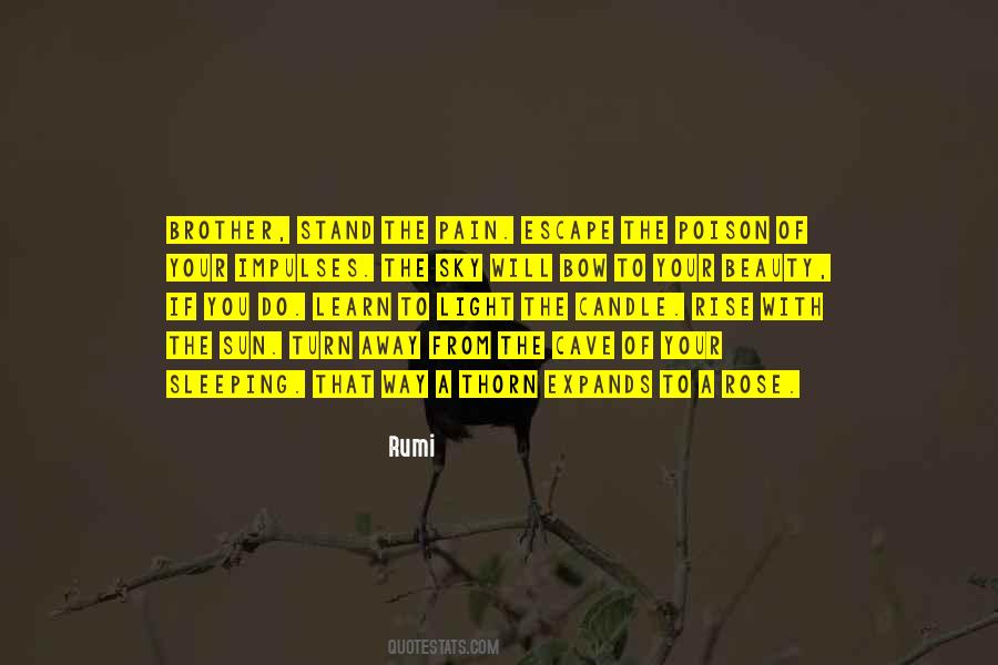 Rose And Thorn Quotes #368713