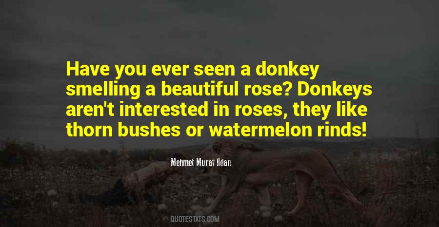 Rose And Thorn Quotes #663593