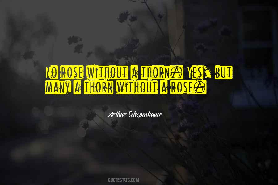 Rose And Thorn Quotes #795349