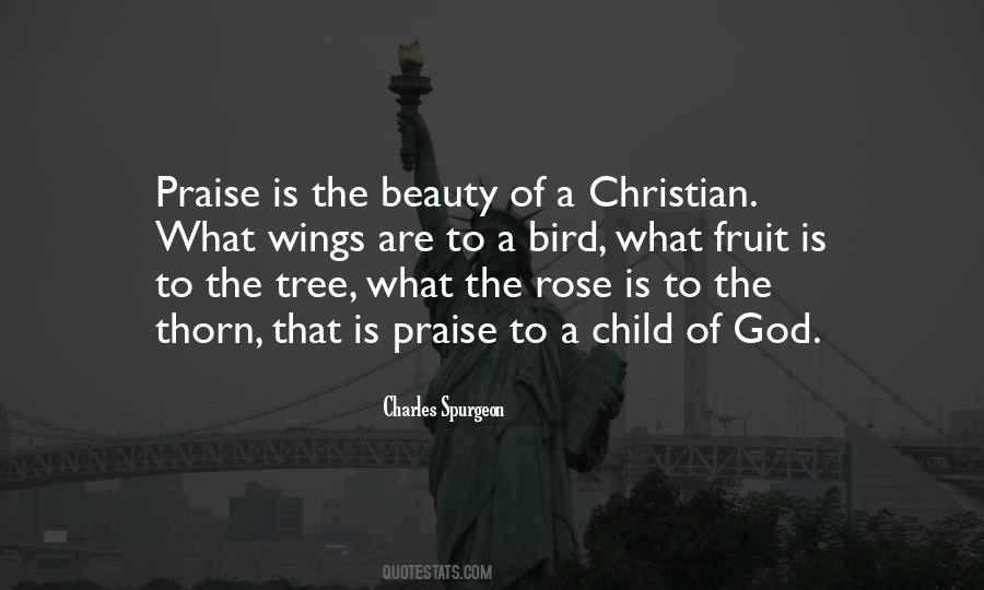 Rose And Thorn Quotes #812156