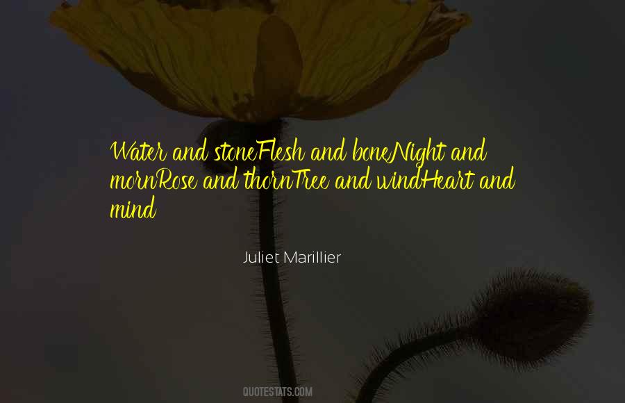 Rose And Thorn Quotes #946623
