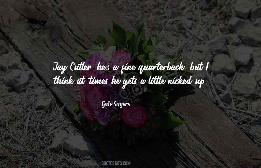Quotes About Jay Cutler #1596636