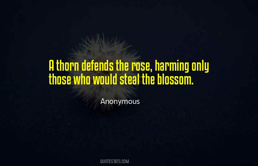 Rose Blossom Quotes #1374988