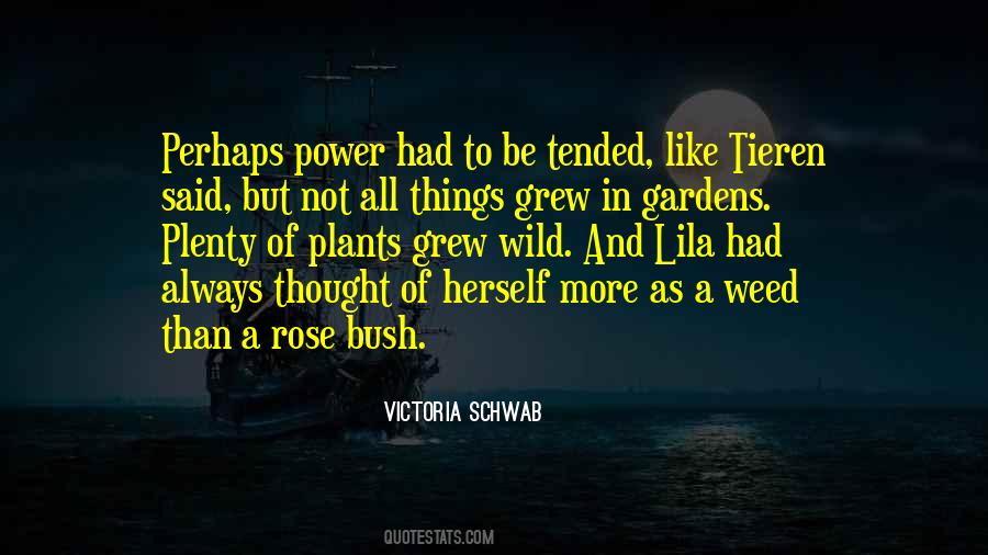 Rose Bush Quotes #211836