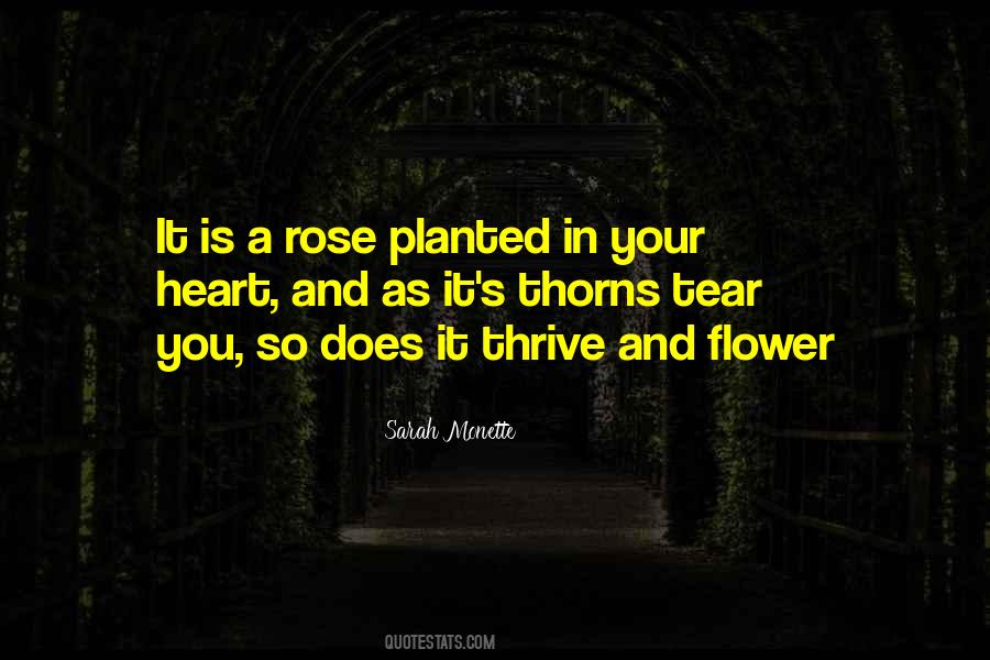 Rose Flower Quotes #1305621