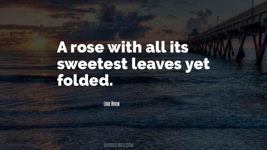 Rose With Quotes #507826
