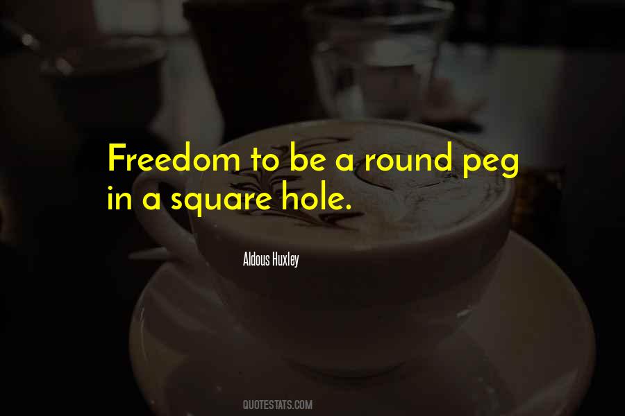 Round Hole Square Peg Quotes #288775