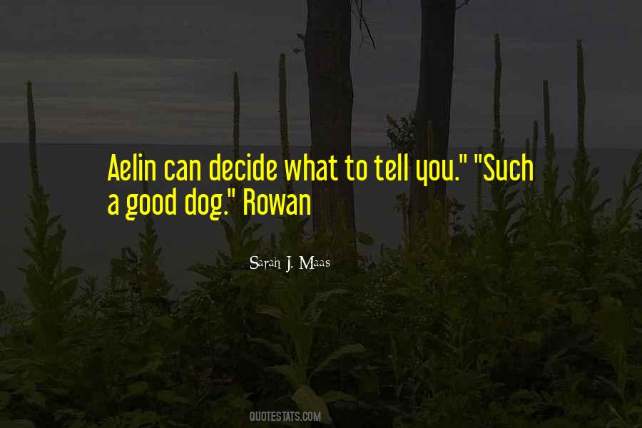 Rowan And Aelin Quotes #369940