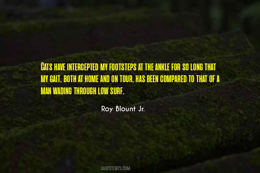 Roy Blount Quotes #63483