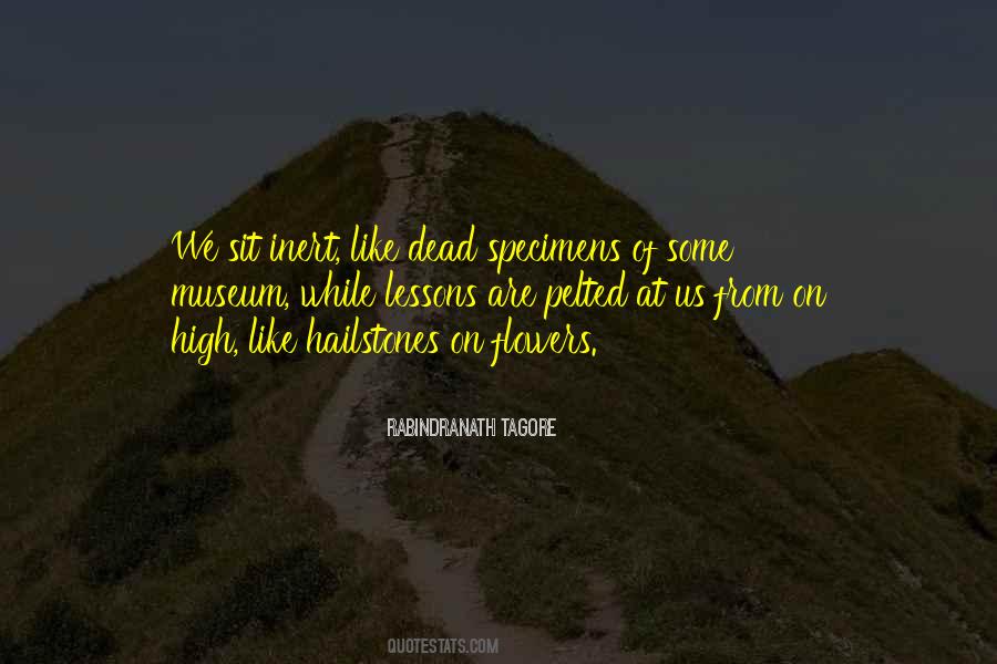 Quotes About Rabindranath Tagore #18352