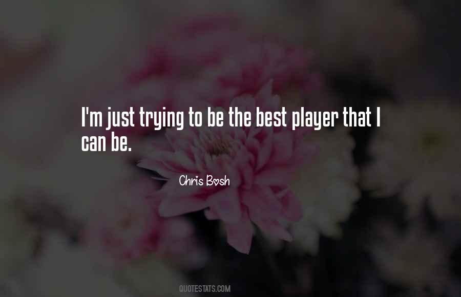 Quotes About Chris Bosh #209452