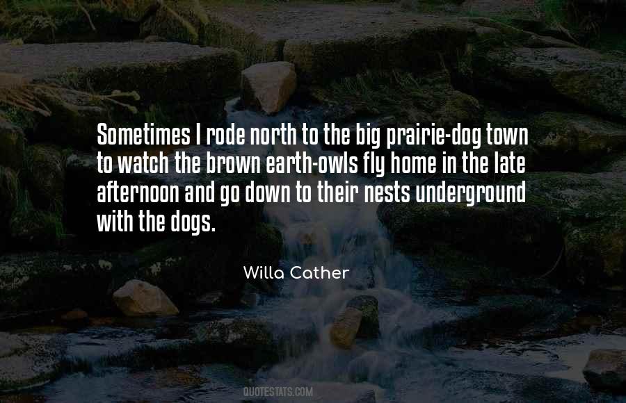 Quotes About Willa Cather #350241