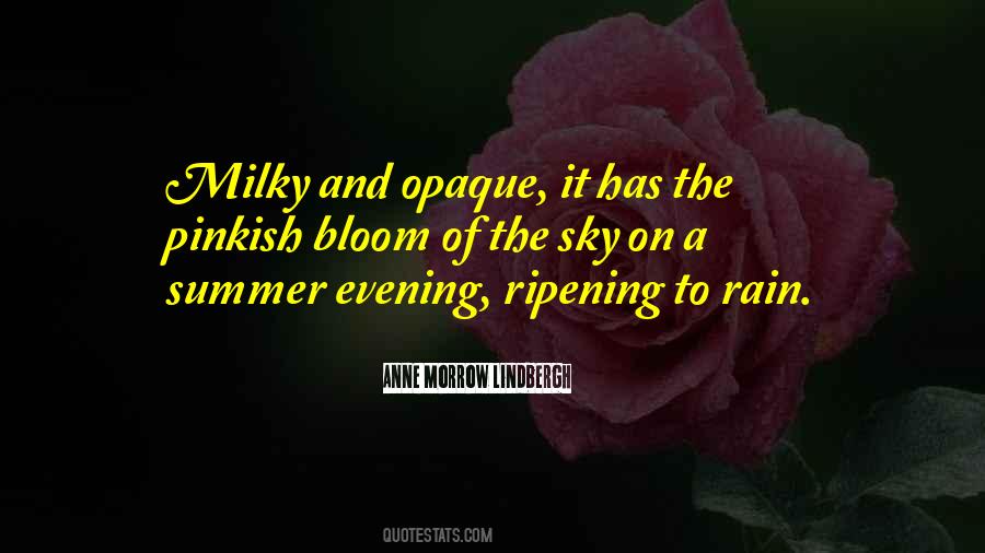 Quotes About Summer Rain #1455847