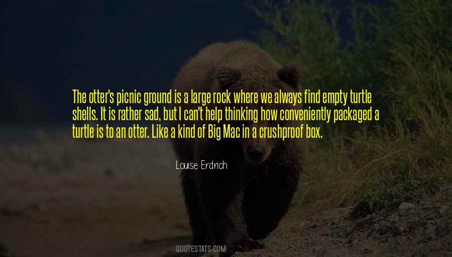 Sad But Quotes #1540333