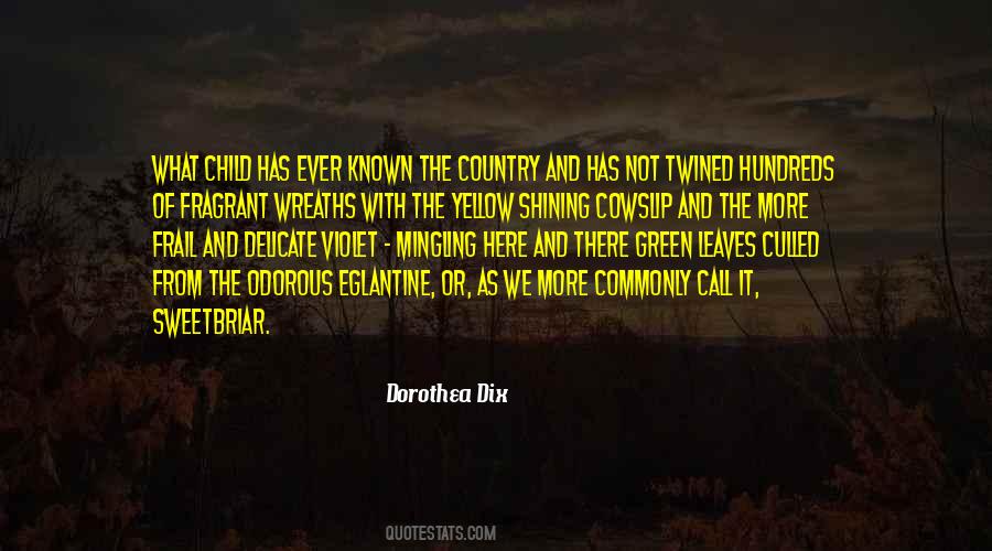 Quotes About Dorothea Dix #934491