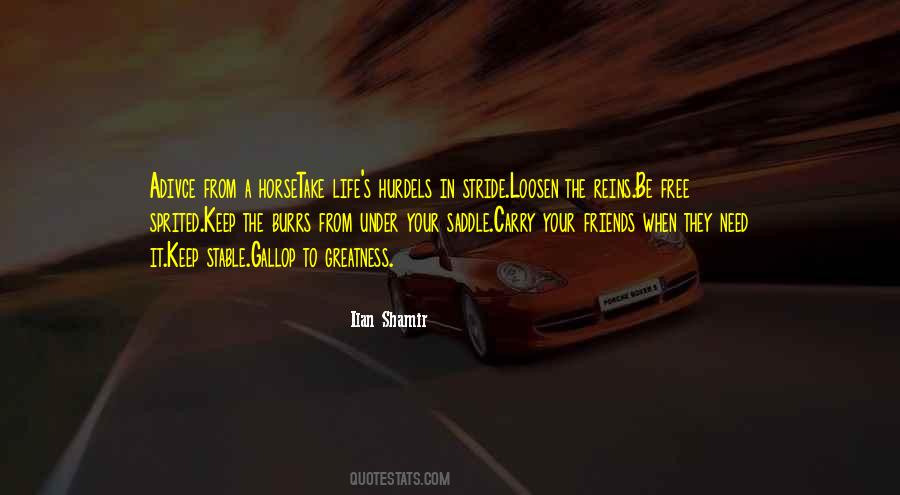 Saddle Quotes #43118
