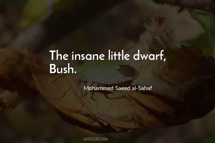 Saeed Al Sahaf Quotes #121892