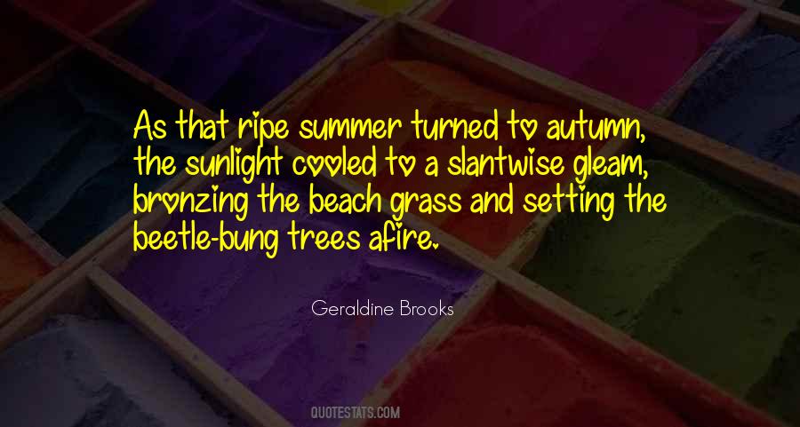 Quotes About Summer At The Beach #774906