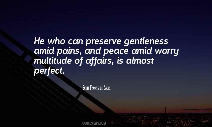 Saint Francis Quotes #42800