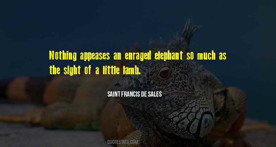 Saint Francis Quotes #515903