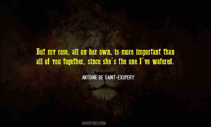 Saint Maybe Important Quotes #1586272