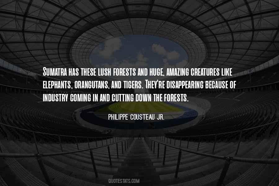 Quotes About Sumatra #1073109