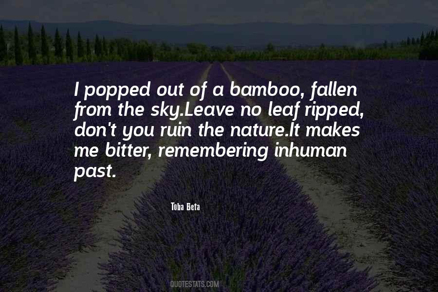 Quotes About Sumatra #1499319