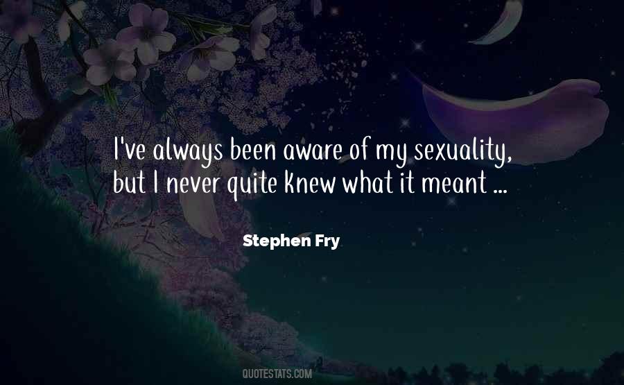 Quotes About Stephen Fry #256683