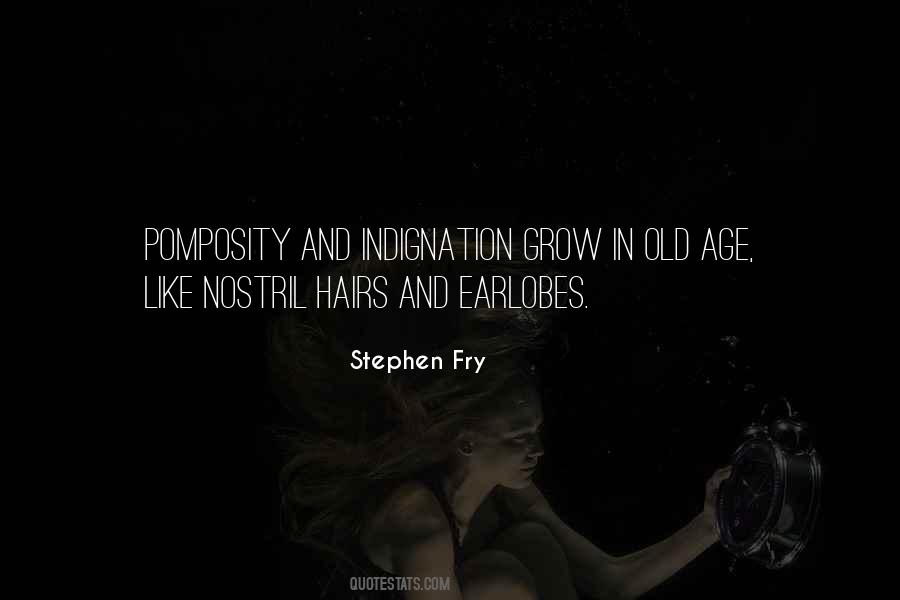 Quotes About Stephen Fry #352997