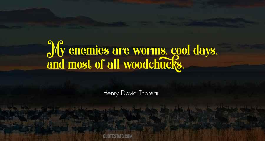 Quotes About Henry David Thoreau #42779