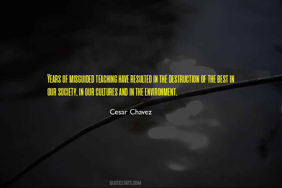 Quotes About Cesar Chavez #374195