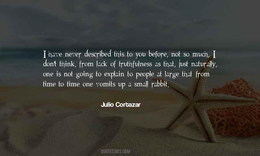 Quotes About Julio Cortazar #1252901