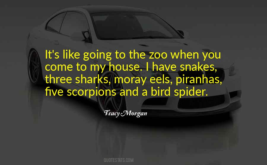Quotes About Scorpions #528635
