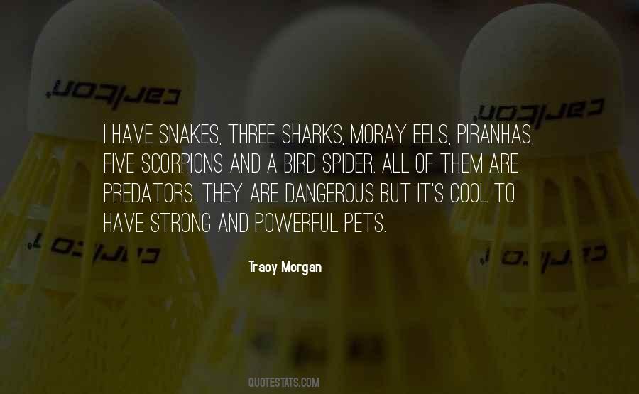 Quotes About Scorpions #579874